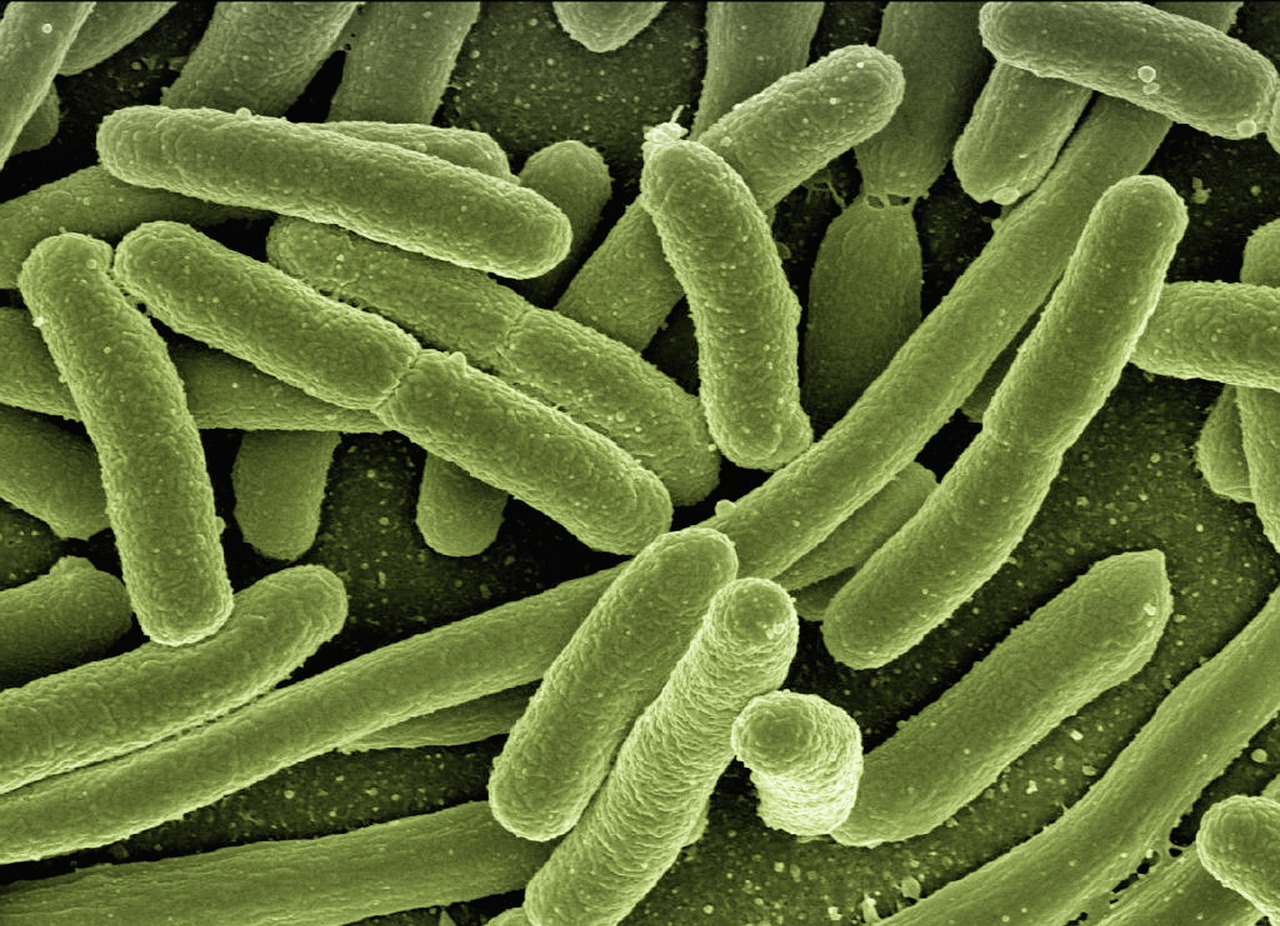 entdecken sie die funktionsweise und die bedeutung des immunsystems für ihre gesundheit. erfahren sie, wie sie ihr immunsystem stärken können, um besser gegen krankheiten gewappnet zu sein.