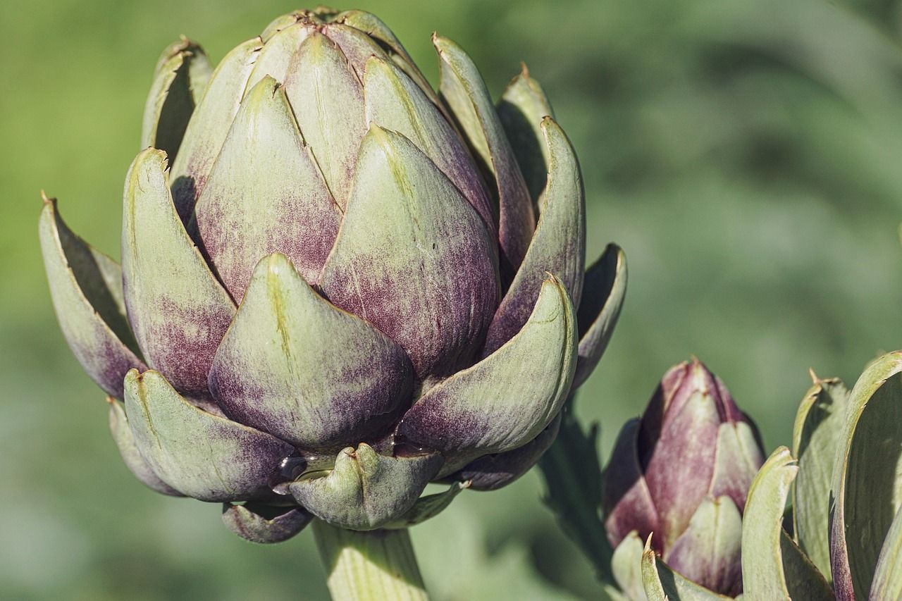 erfahren sie alles über ausgewogene ernährung, wichtige nährstoffe und gesunde essgewohnheiten. entdecken sie tipps und informationen rund um eine optimale ernährung für jeden lebensstil.