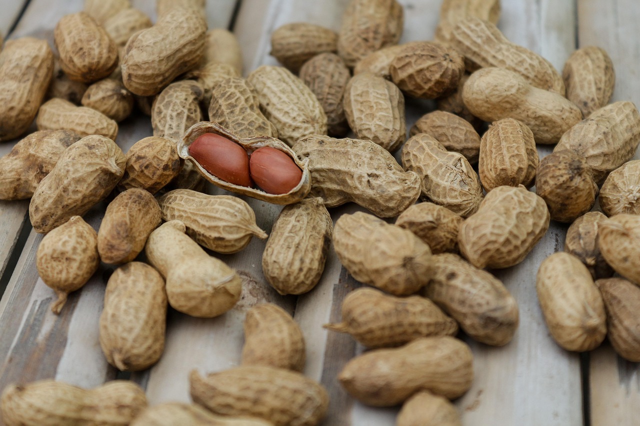 Was sind die wichtigsten Faktoren für eine ausgewogene Ernährung?